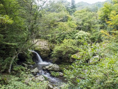 🏞️ 루리 계곡 자연공원(루리케이 시젠코엔) 이미지 2